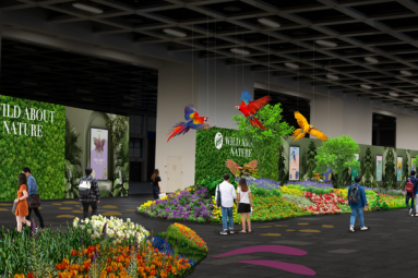 A graphic with large islands of flowers, printed partitions kept in green, parrot figures hanging from the ceiling.