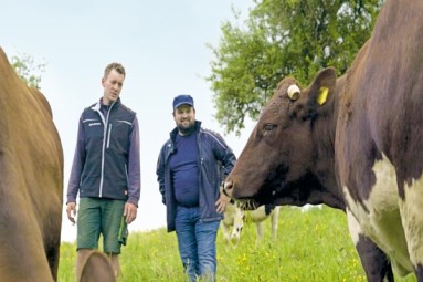Timo Wald (l.) und Ben Fehlers (r.) auf der Weide mit einer Herde Kühe