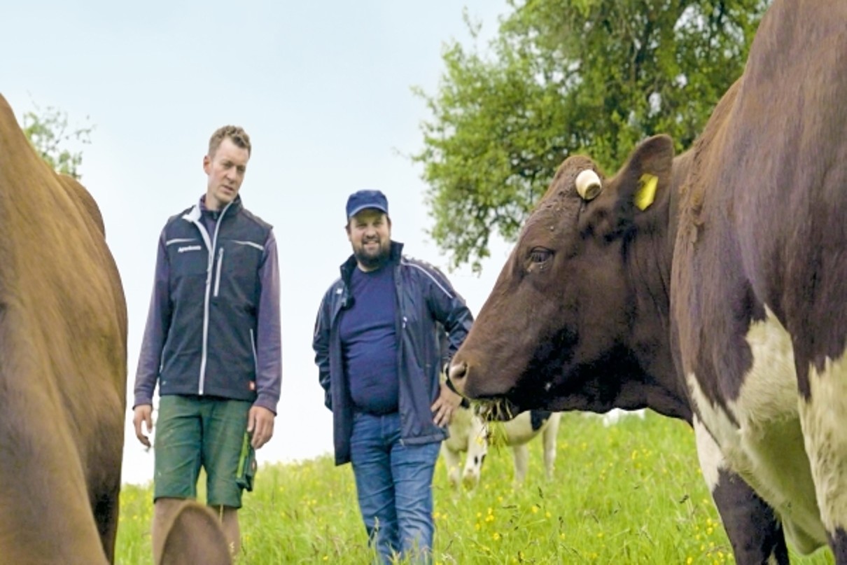 Timo Wald (l.) and Ben Fehlers (r.) in the pasture with a herd of cows