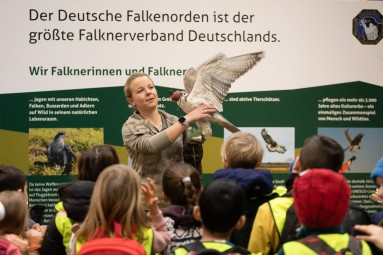A group of children watch an employee of the German Falconry Association with a falcon in her arms.