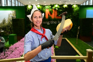 A woman holds a cheese and a knife.