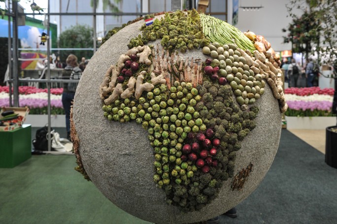 Zu sehen ist eine Weltkugel, deren Kontinente aus Gemüse bestehen. Dieses Ausstellungsgut war auf dem Stand der Niederlande zu finden.