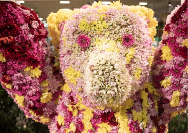 Das Gesicht des Berlin-Buddy-Bären aus Blüten.